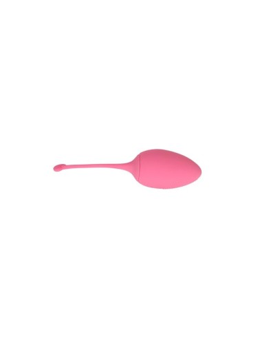Huevo Vibrador Control Remoto Sweety Teaser USB 5.7