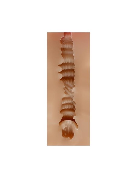 Masturbador Masculino Vagina Judith Skin