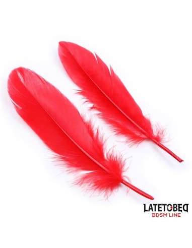 Set de 3 Piezas Antifaz, Plumas y Esposas