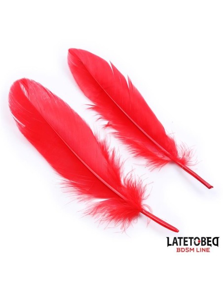 Set de 3 Piezas Antifaz, Plumas y Esposas