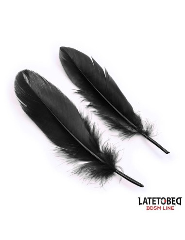 Set de 3 Piezas Antifaz, Esposas y Plumas Negro