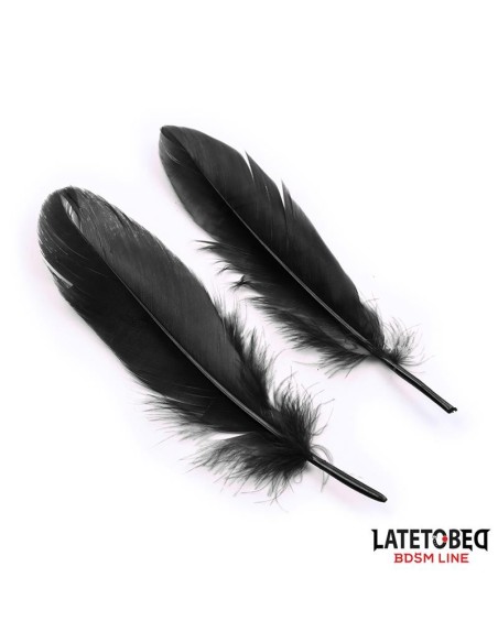 Set de 3 Piezas Antifaz, Esposas y Plumas Negro