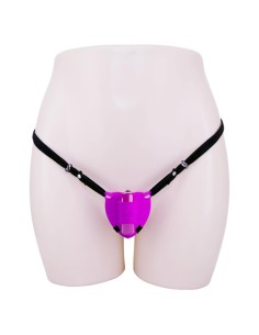 Estimulador con Correas 2