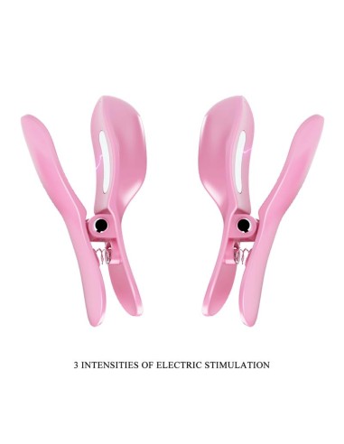 Surprise Box Huevo Vibrador y Pinzas para Pezones con Electro Estimulación Rosa