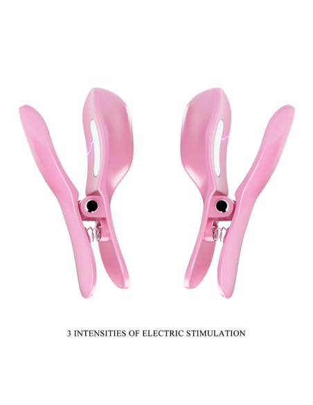 Surprise Box Huevo Vibrador y Pinzas para Pezones con Electro Estimulación Rosa