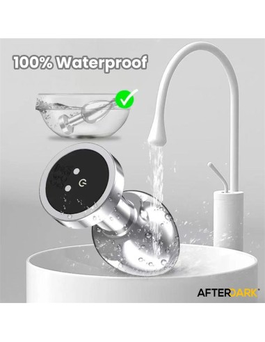 Dimpor Plug Anal Cromado con Vibración USB Magnético Talla L