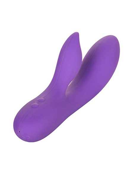 Silhouette S19 - Purple