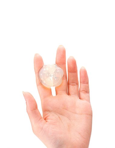 iroha petit PLUM
