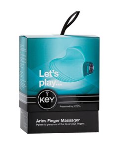 KEY - ARIES ROBIN BLUE 2