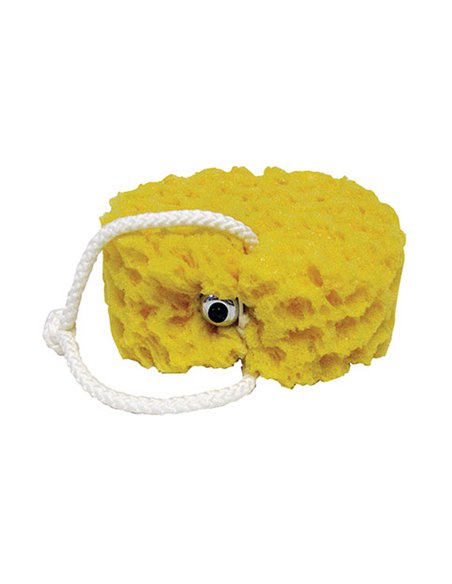 VIBRATING FOAM SEA SPONGE