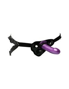 Anal Explorer Kit