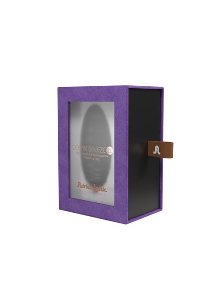 Huevo Vibrador Ocean Breeze 2.0 con Control Remoto Púrpura