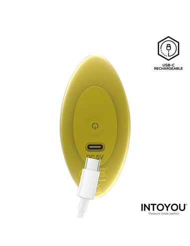 Auria Plug Anal con Vibración y Control Remoto USB-C