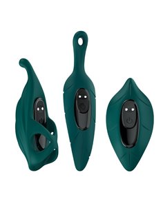 Set de Vibrador y Fundas 2
