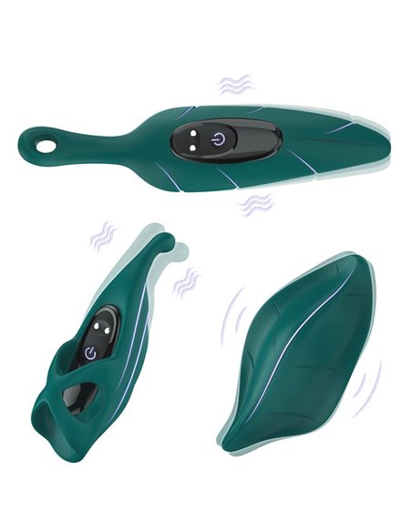 Set de Vibrador y Fundas