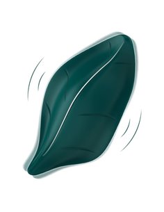 Vibrador de Braguita