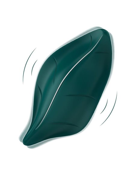 Vibrador de Braguita
