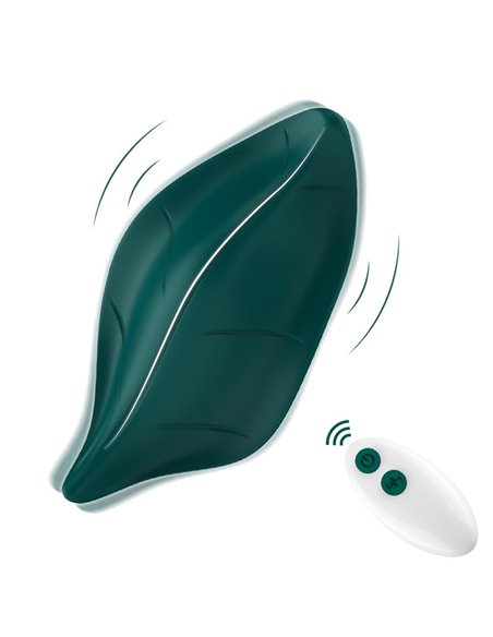Vibrador de Braguita
