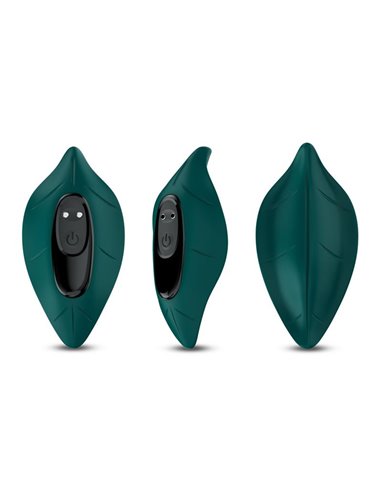Vibrador de Braguita