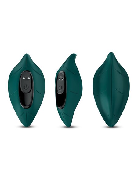 Vibrador de Braguita