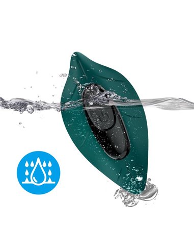 Vibrador de Braguita