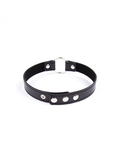 Collar con Aro Ajustable 38,2 cm Negro