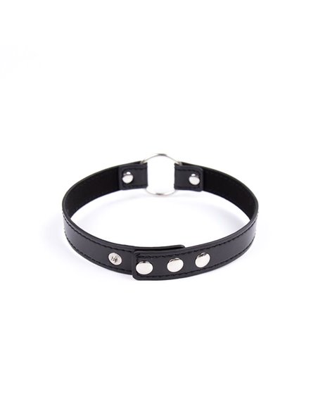 Collar con Aro Ajustable 38,2 cm Negro