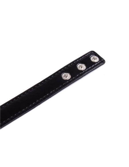 Collar con Aro Ajustable 38,2 cm Negro