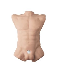 Apollo L Torso 54 cm 2