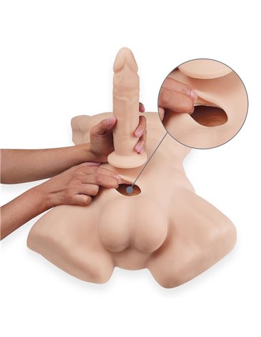 Apollo L Torso 54 cm