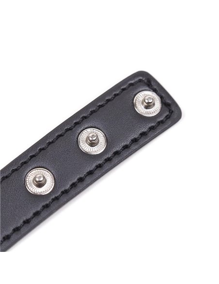 Collar con Aro en Forma de Corazón Ajustable 41,5 cm Negro