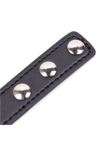 Collar con Aro en Forma de Corazón Ajustable 41,5 cm Negro