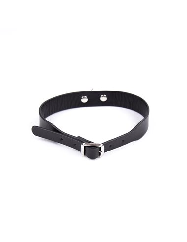 Collar Ajustable 43 cm Negro