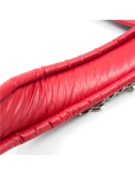Collar con Correa de Metal e Interior Acolchado Negro/Rojo