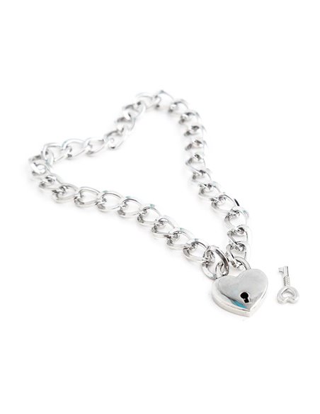 Collar con Candado Metal Talla M 44 cm
