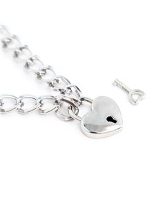 Collar con Candado Metal Talla M 44 cm 2