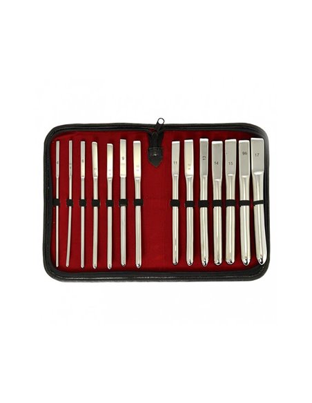 Set de Dilatadores de Uretra 14 piezas