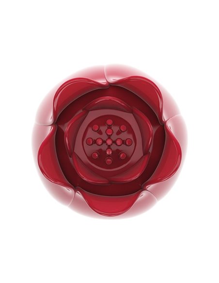 Flower Wand Cabezal para Masajeador Power Wand