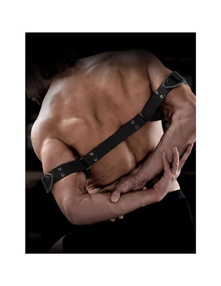 Correas para Bíceps