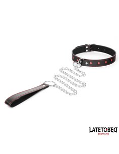 Collar con Correa 52 cm 2