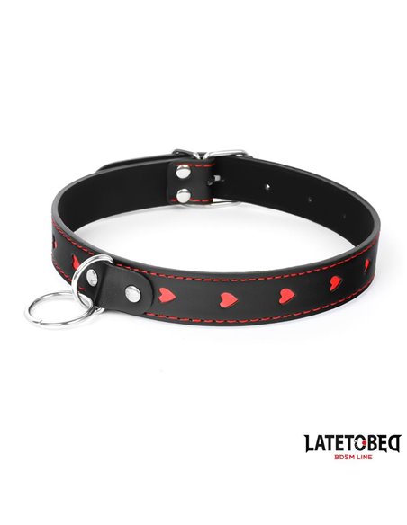 Collar con Correa 52 cm