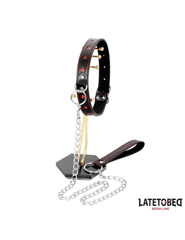 Collar con Correa 52 cm
