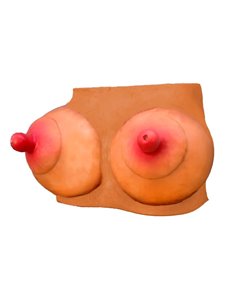Hucha Forma de Pechos