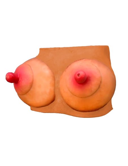 Hucha Forma de Pechos
