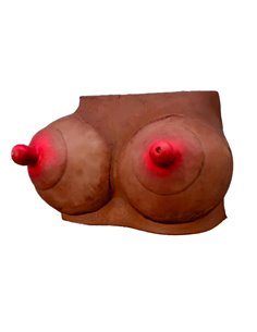 Hucha Forma de Pechos Mulata
