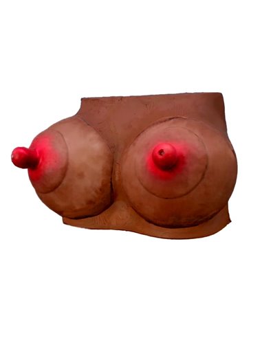 Hucha Forma de Pechos Mulata