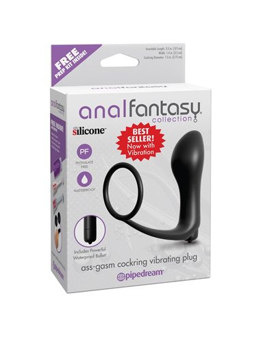 Plug Anal con Vibración Negro