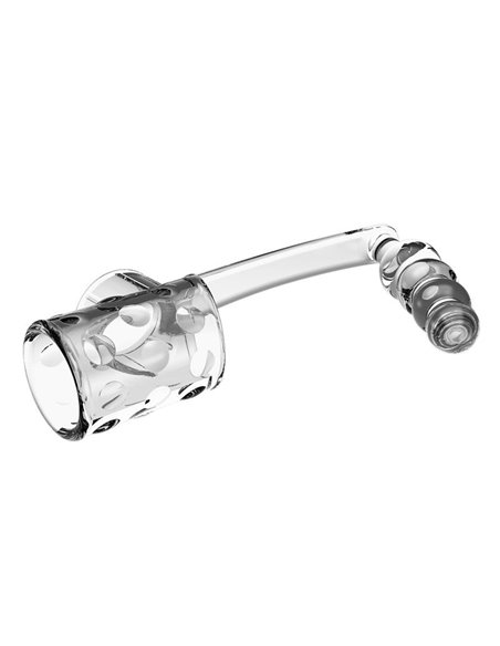 Plug Anal con Anillo para el Pene
