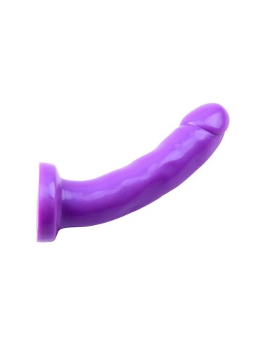 Arnes y Dildo Harness and Probe